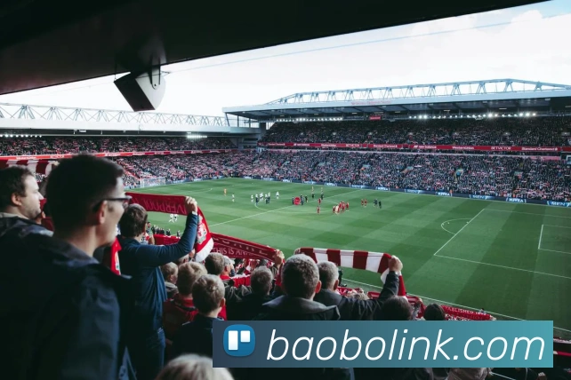 App Interface Preview