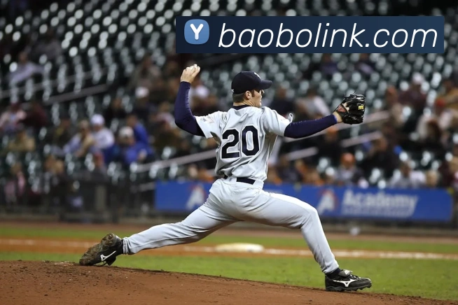 宝博体育APP 封面图